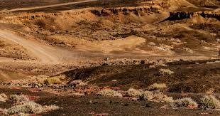 含泪赴欧！樊振东自曝逃离真相，3座大山逼走国乒一哥？